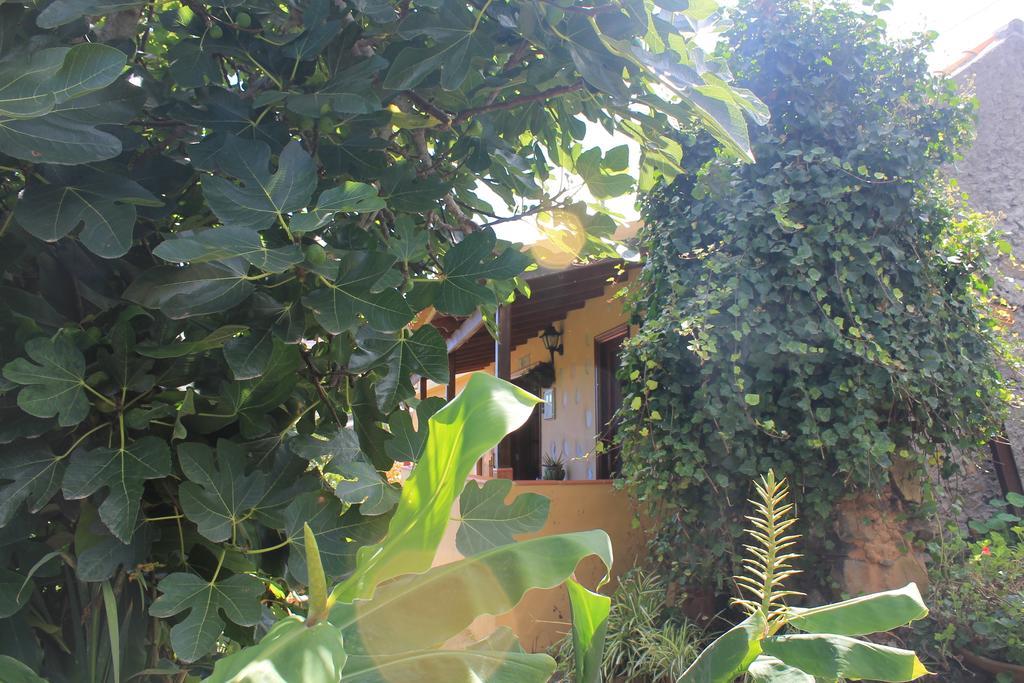 Casa Rural Las Rosas Agulo 部屋 写真