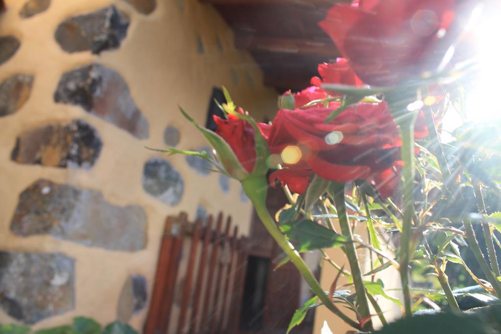 Casa Rural Las Rosas Agulo エクステリア 写真